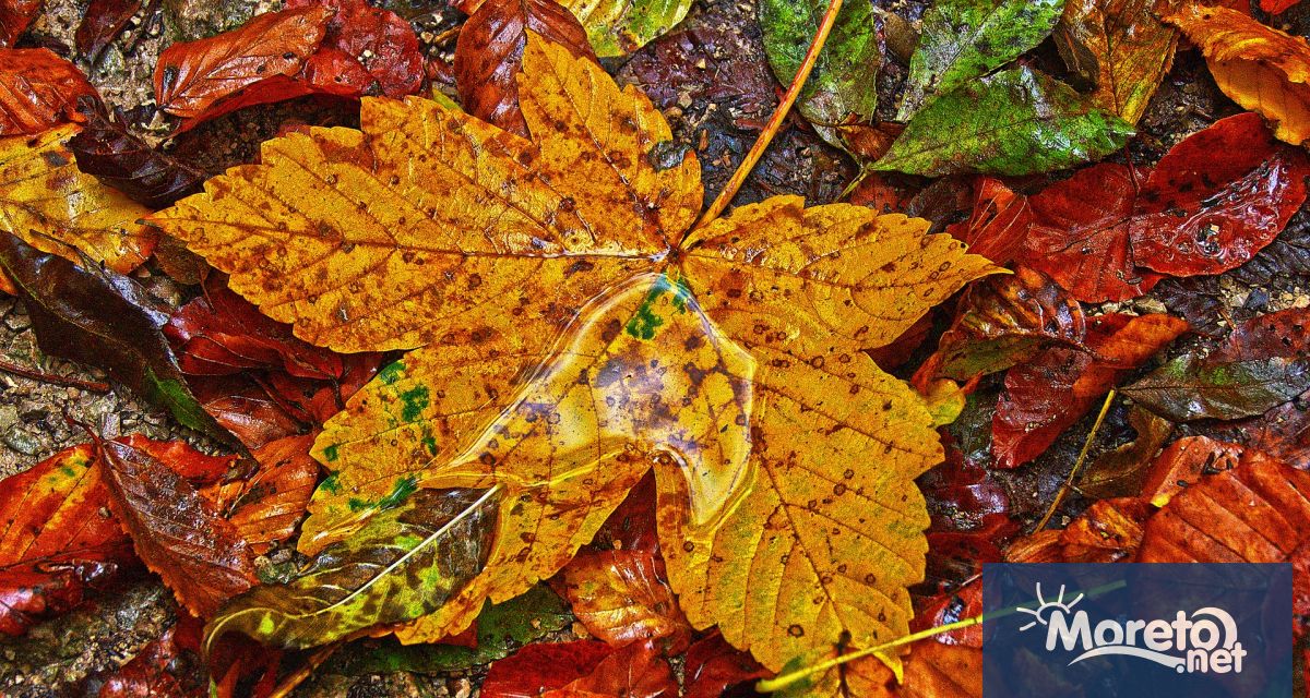 През следващото денонощие ще се задържи облачно Почти в цялата