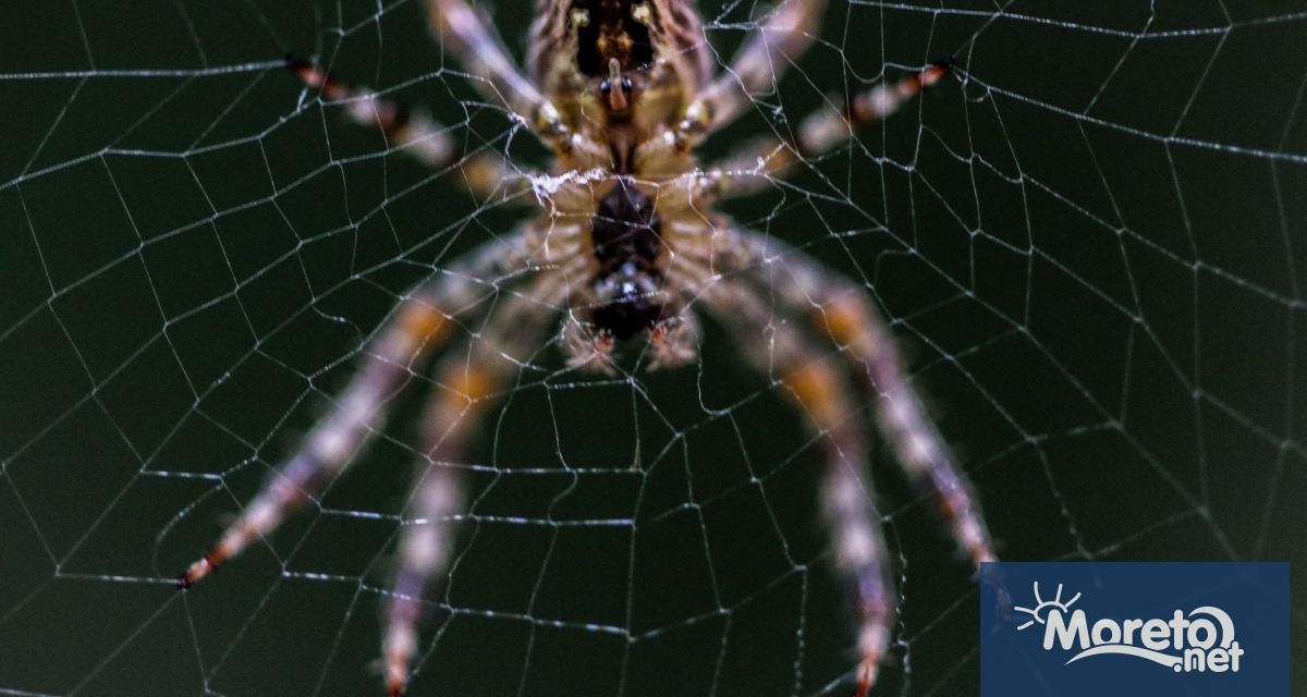 Учени от Карловия университет в Прага идентифицирали скритата причина за