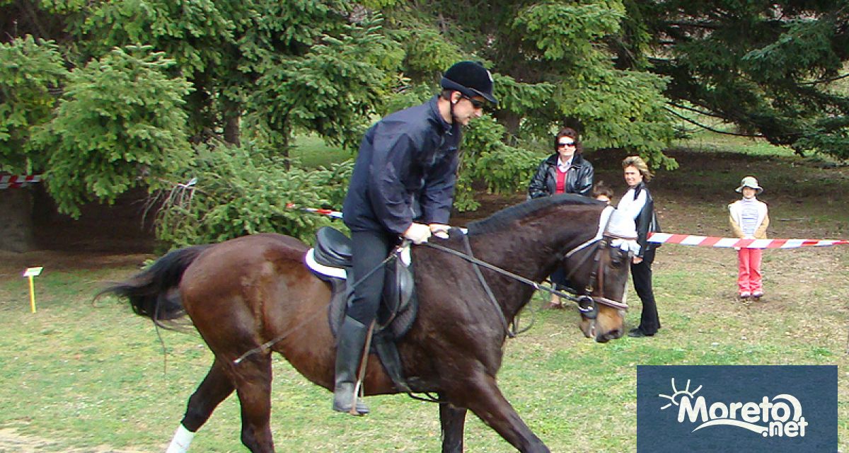 Атрактивно конно шоу по прескачане на препятствия ще завладее Варна