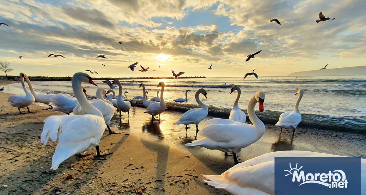 По Черноморието слаби превалявания все още ще има само в