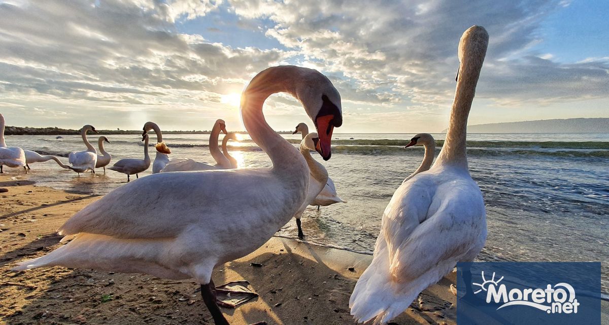 Тази нощ над Западна и Централна България ще е предимно