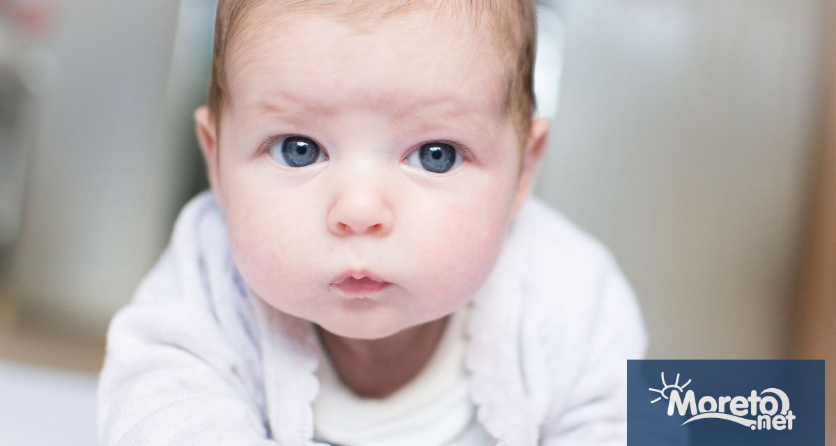 Българската агенция по безопасност на храните БАБХ контролира процеса по