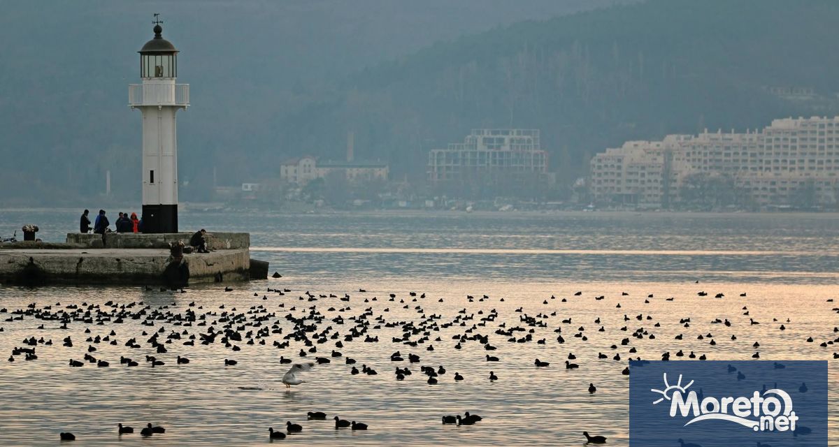 От 13 до 16 януари 2022 г Българското дружество за