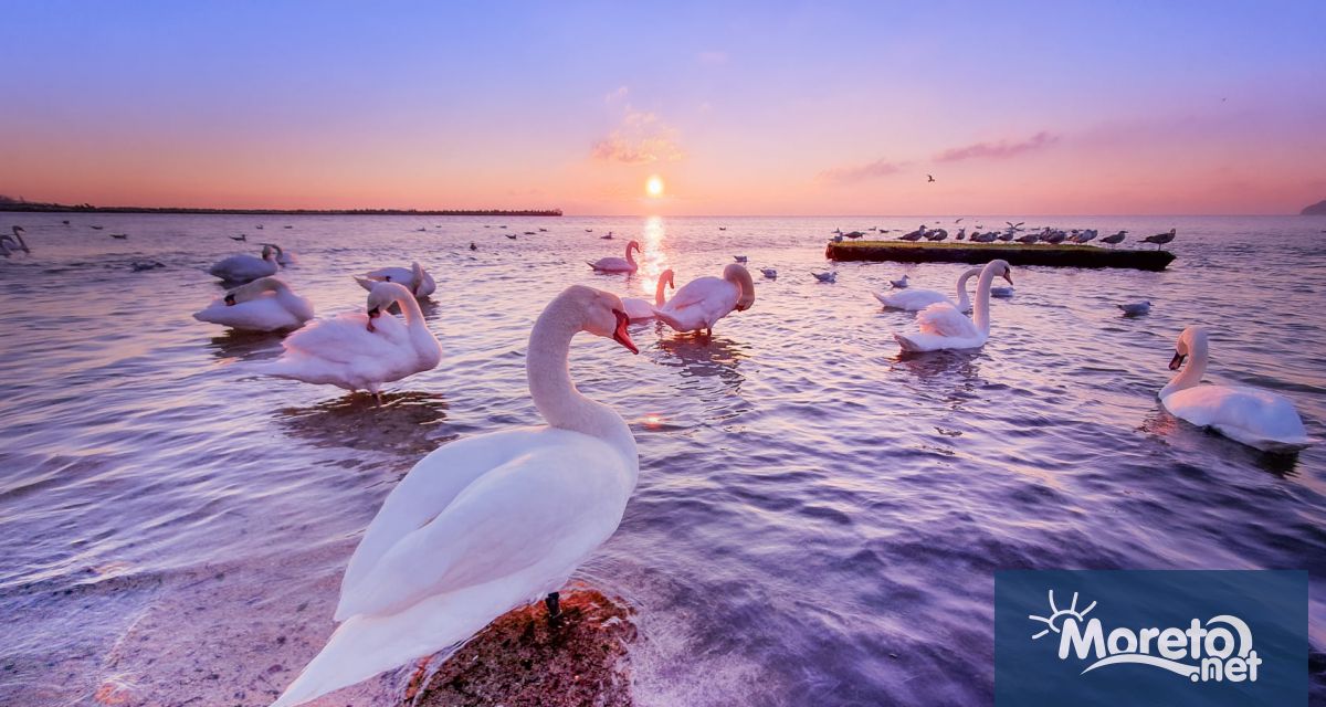 Тази нощ ще има висока облачност по значителна над южните райони