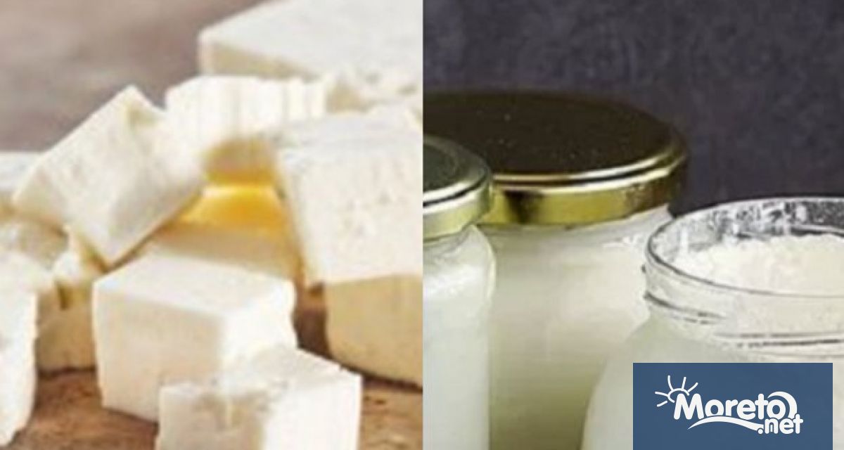 Високите цени на млякото и млечните продукти в търговската мрежа