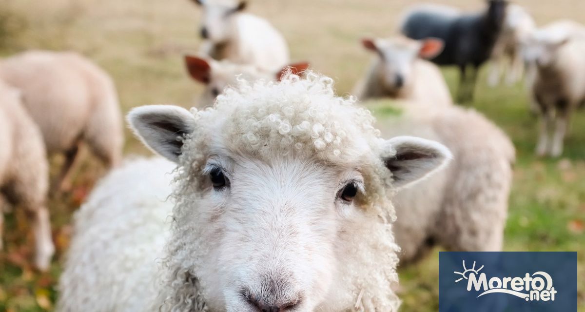 България като част от Европейския съюз ще следва общата политика