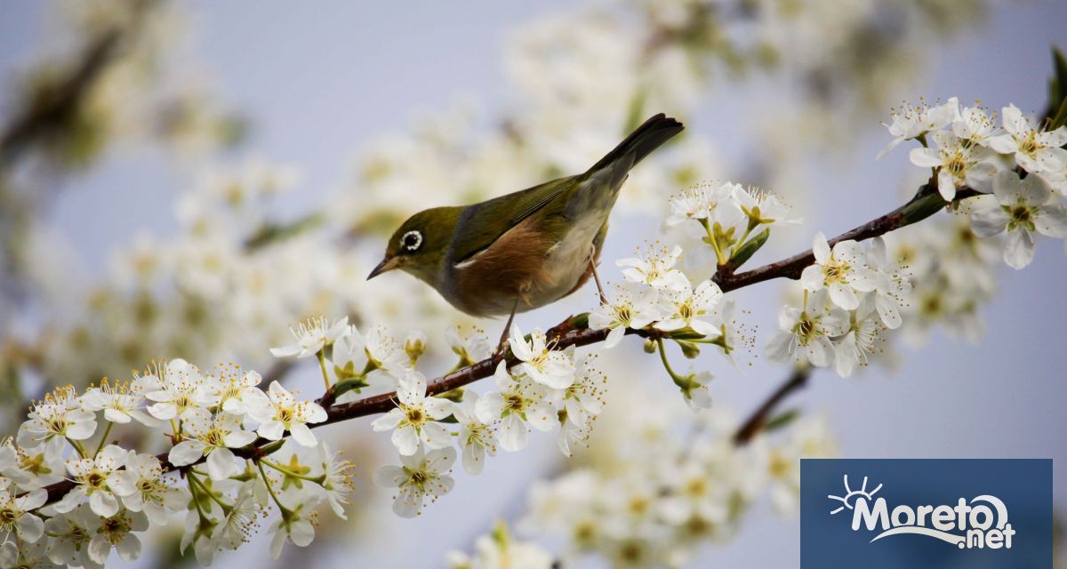 Днес точно в 11 часа и 1 минута българско време