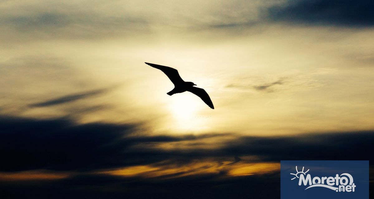 През нощта над по голямата част от страната облачността ще е