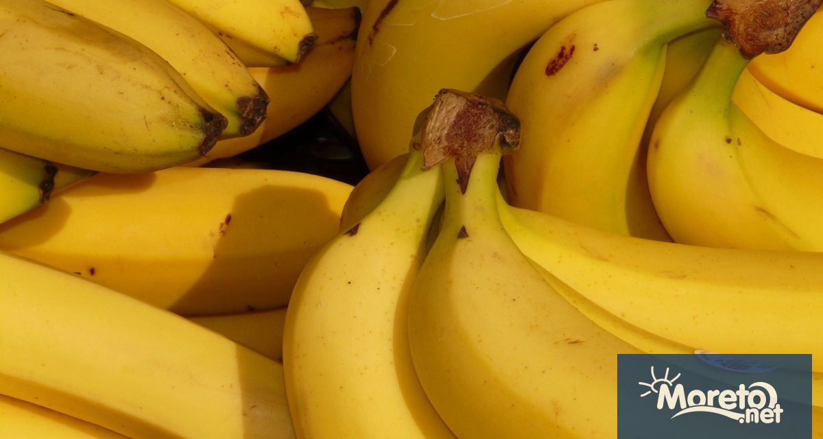 Полицията в Гърция конфискува над 270 килограма кокаин с приблизителна