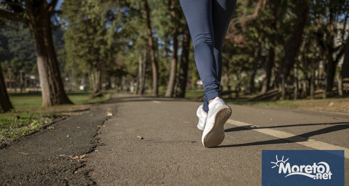 Варна отбелязва Световния ден на бежанеца с послание за приобщаване