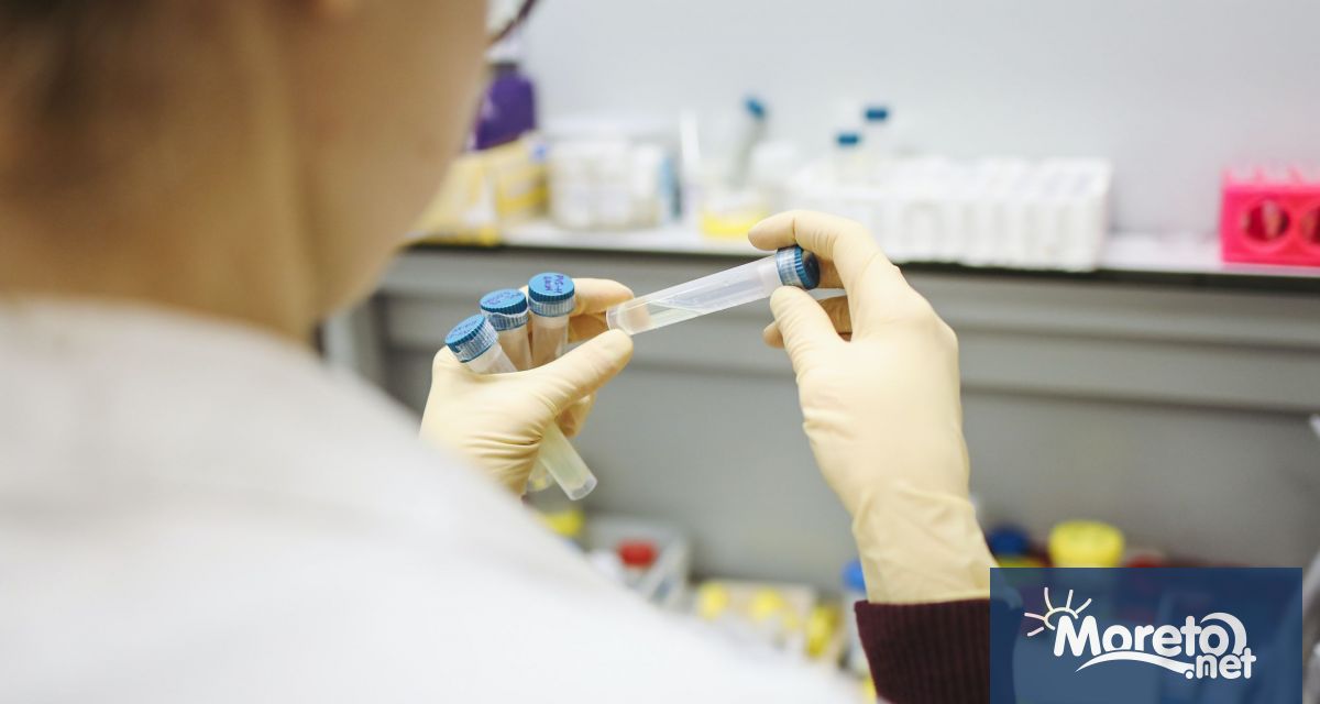 Министерският съвет одобри второто издание на Националната програма Млади учени