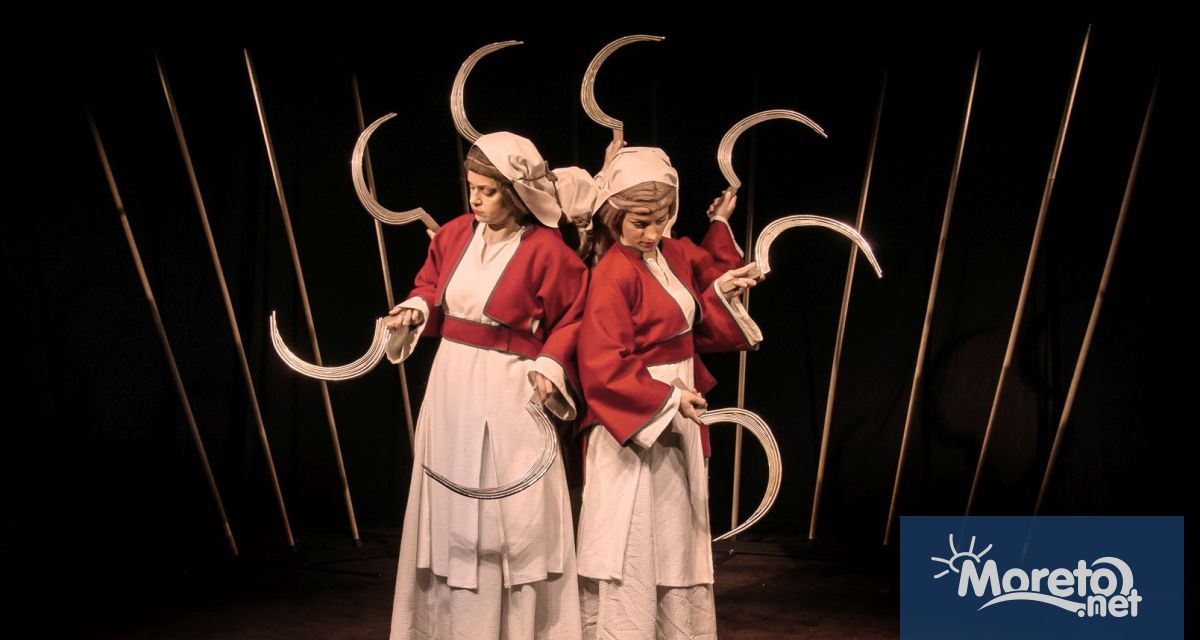 Лакома меца и Под гъбката за най малките и спектакъла за