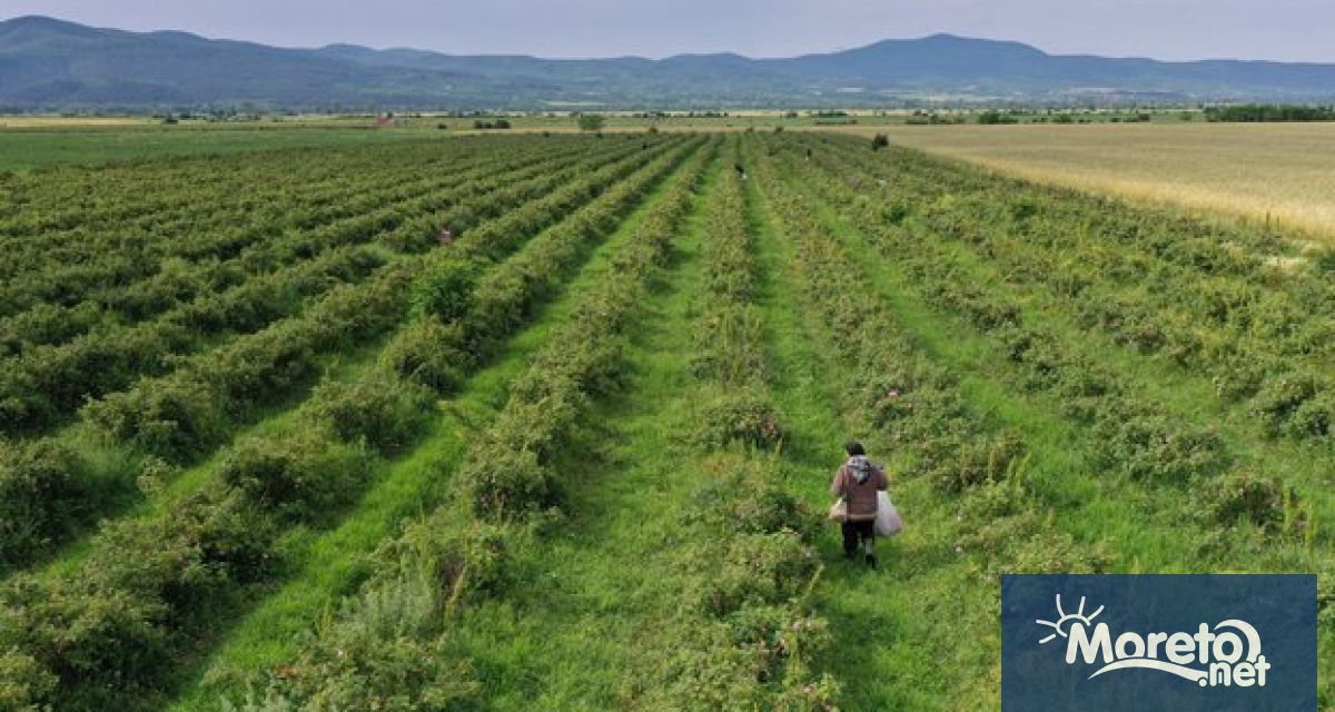 143 5 млн лв вместо предварително обявените 111 млн ще бъде