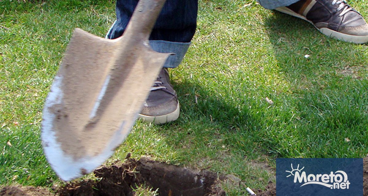 Прокуратурата в Плевен повдигна обвинение срещу кмета на село Божурица