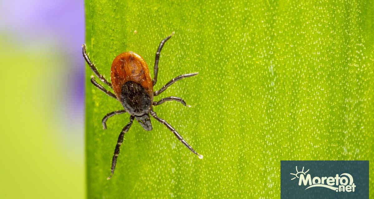 Общинското предприятие Дезинфекция дезинсекция дератизация информира че през седмицата 11 14