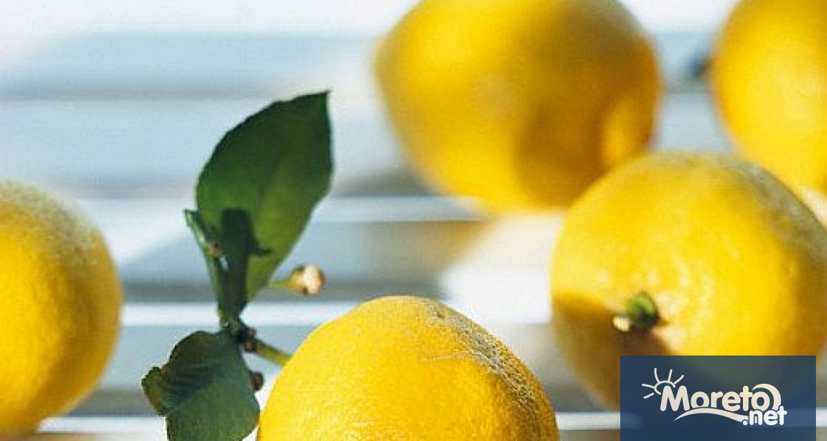 Всеки вече знае, че лимонът има много ползи и предимства