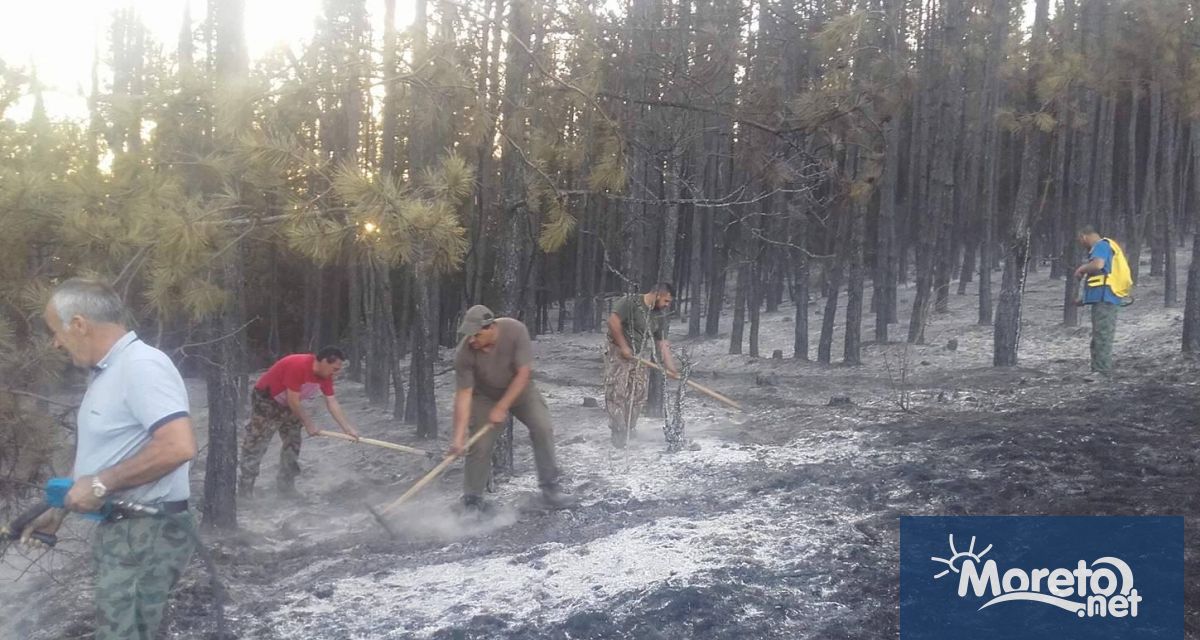 314 460 линейни метра са минерализованите ивици прекарани в горите на