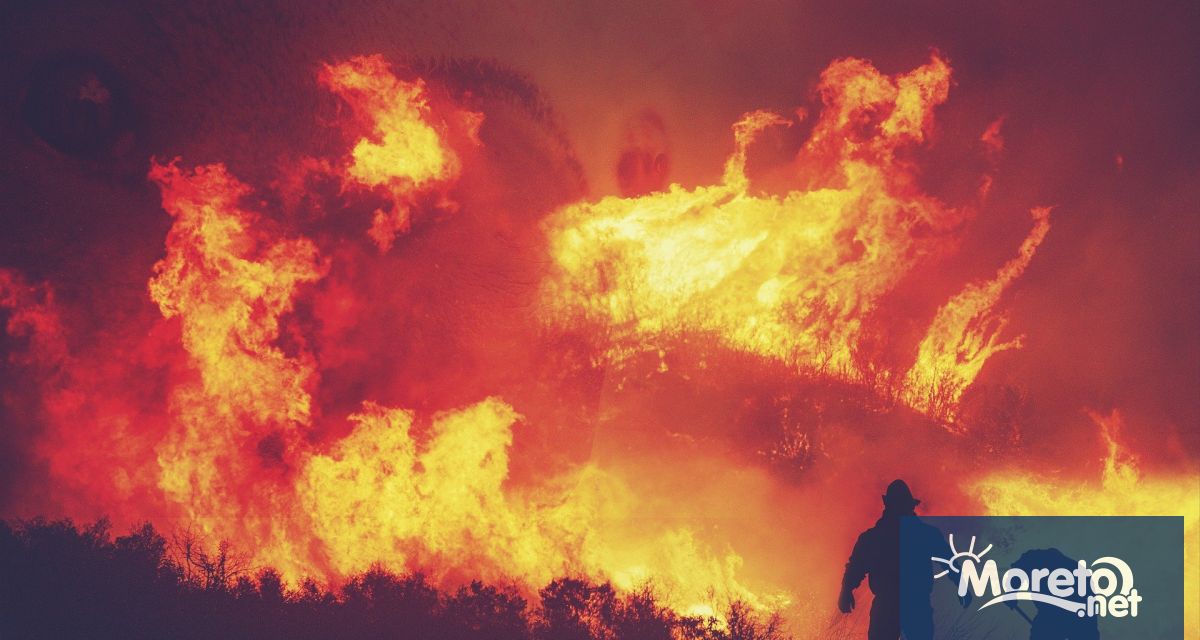 Големи горски пожари бушуват в турските окръзи Хатай Чанаккале и