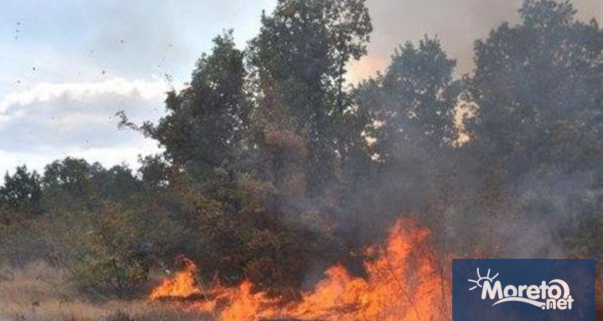 ЕС изпраща 200 пожарникари в Гърция в случай на възникване