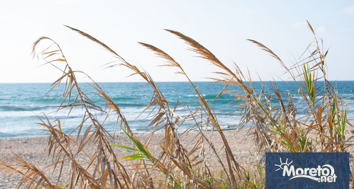 По Черноморието ще бъде предимно слънчево но ветровито Ще духа