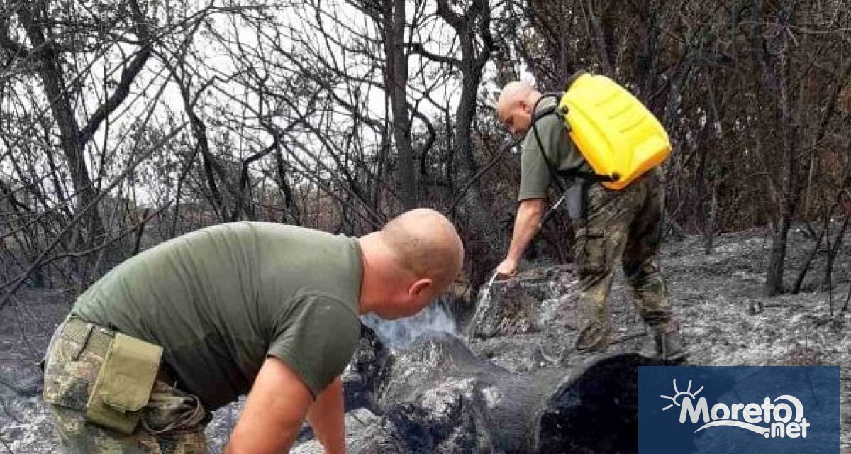 Критична остава ситуацията с пожарите на няколко места в страната