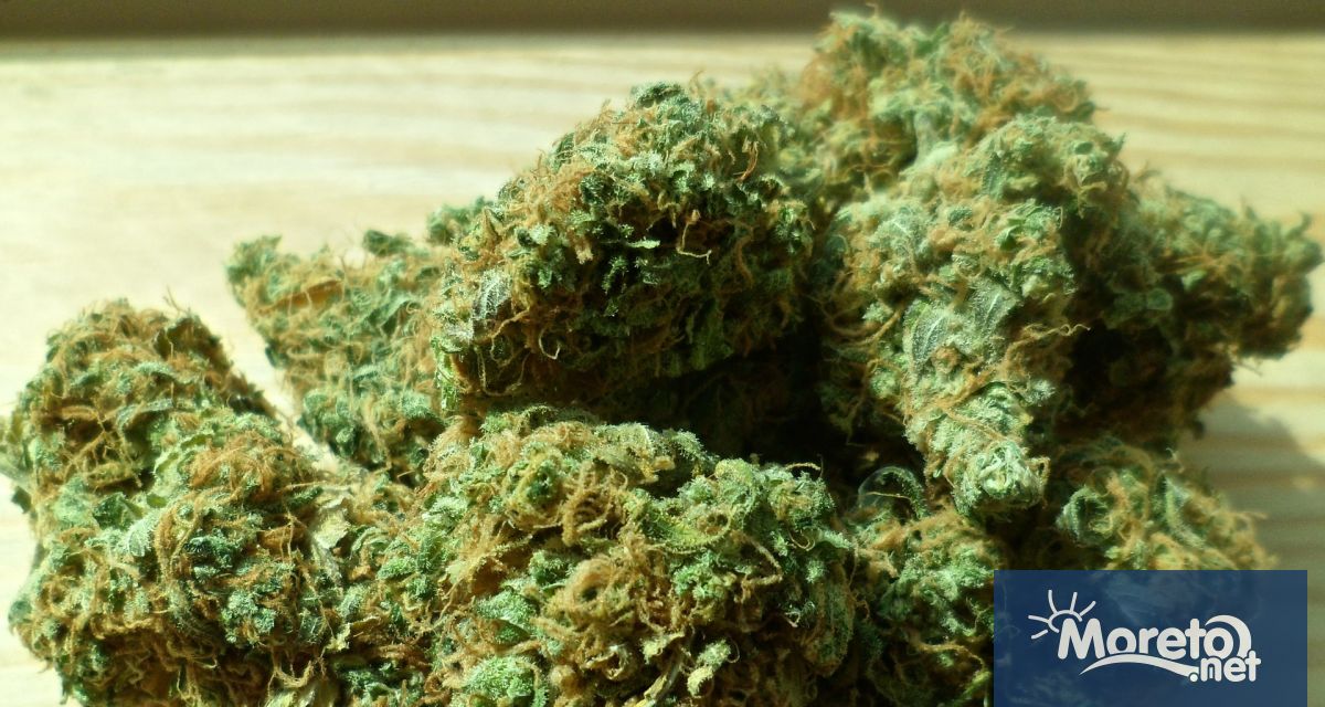 Разследването по случая с млад мъж – син на прокурор