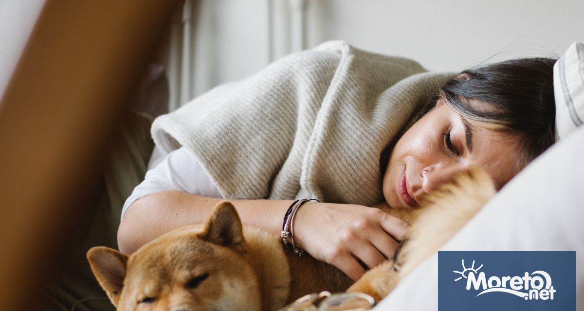 Спането в мързеливите неделни сутрини или оставането до късно в