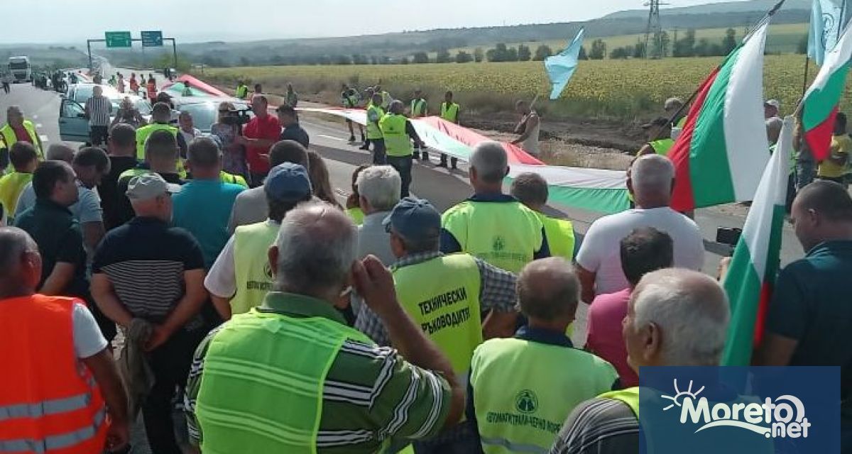 Шуменската пътностроителна фирма Автомагистрали Черно море освобождава 530 от служителите