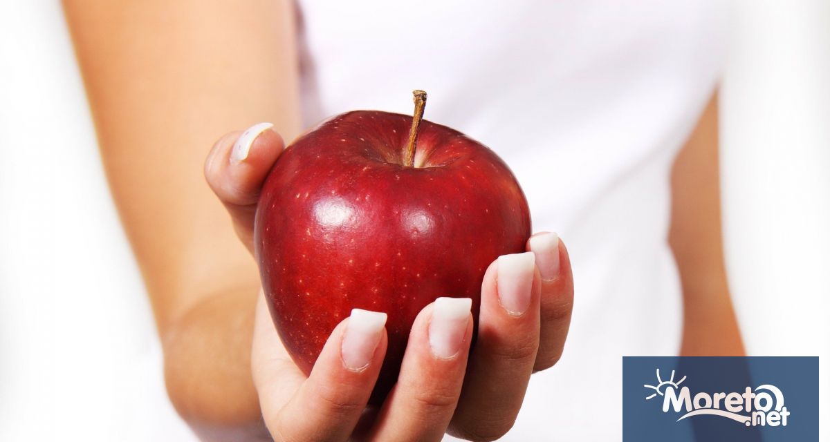 Ограничаването на калориите удължава здравословния живот при множество видове
Революционно проучване