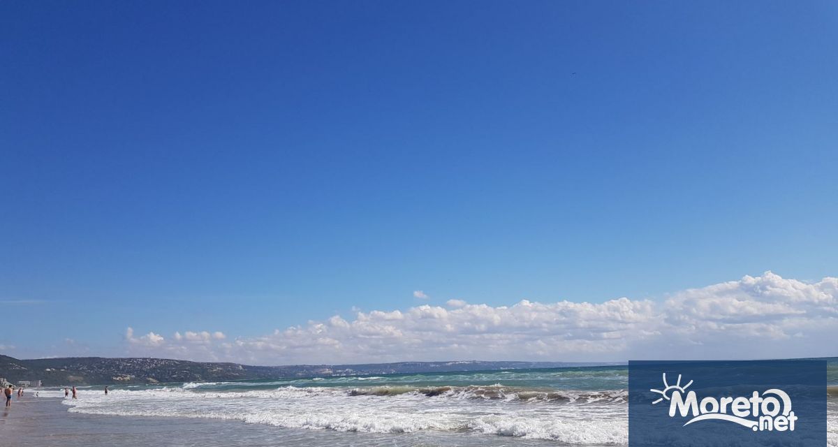 До 20 януари 2024 г може да се кандидатства за