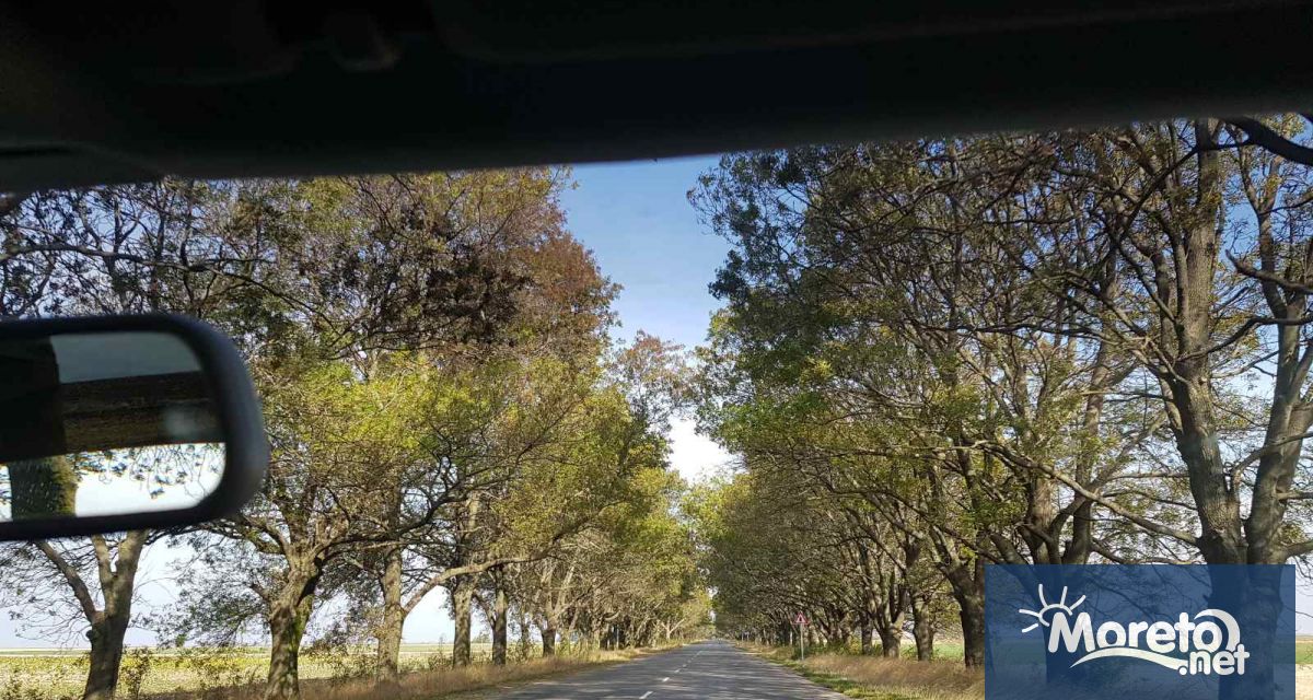 СЪСТОЯНИЕ НА АВТОМАГИСТРАЛИТЕ АМ Хемус Област Шумен Движението от км 350 000 до км