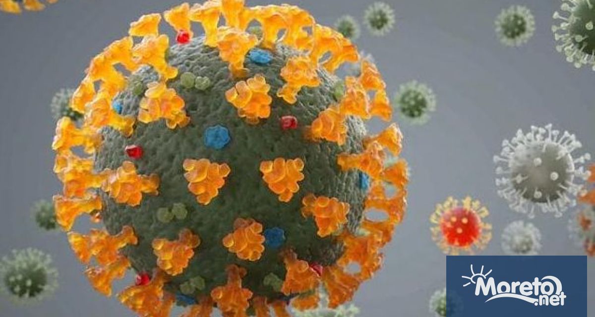 Специалисти идентифицираха варианта Делтакрон на новия коронавирус който комбинира гени