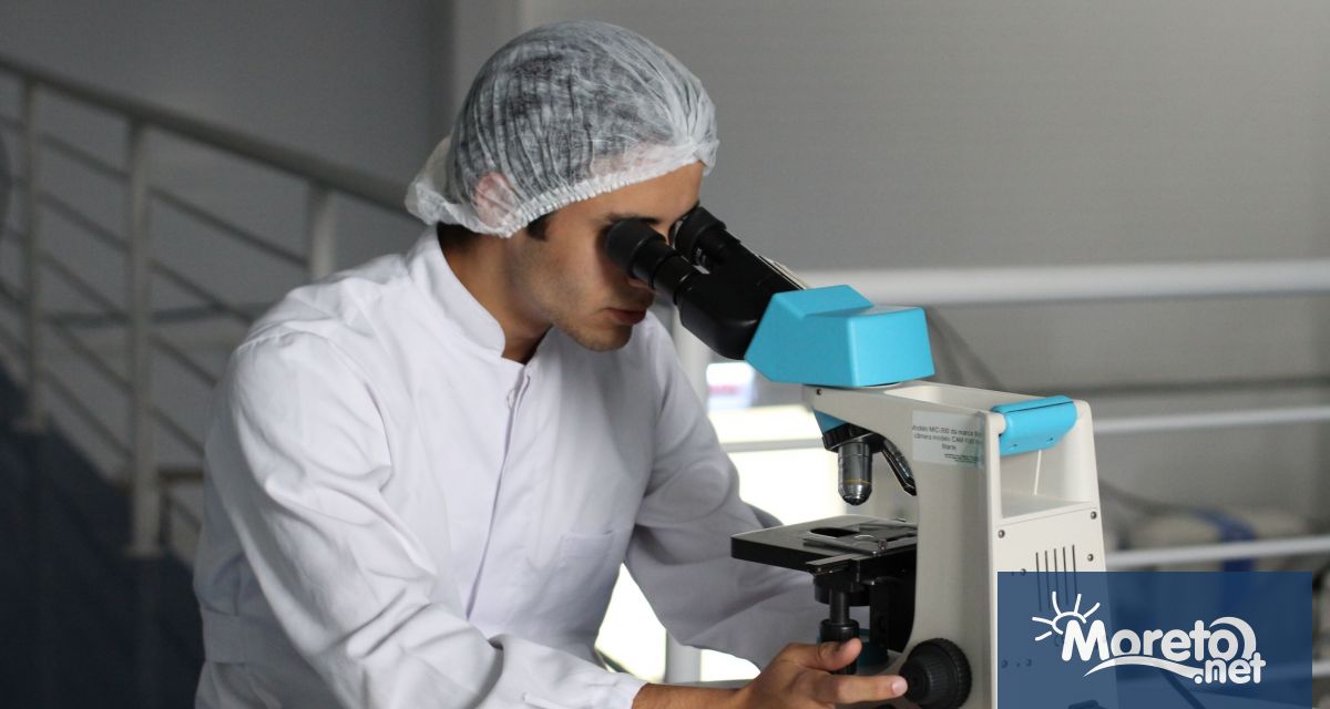 Министерският съвет измени Национална програма Европейски научни мрежи като удължи