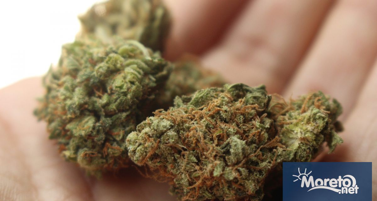 Кабинетът на Германия е готов да одобри план за легализация