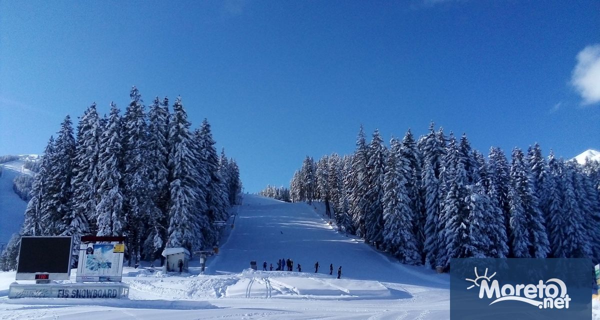 Много успешен зимен сезон отчитат от Института за анализи и