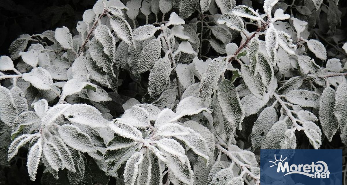 Днес в 11 20 часа настъпи зимното слънцестоене с което официално