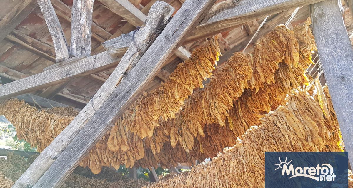 Консултативният съвет по тютюна обсъди предложение на браншовите организации за