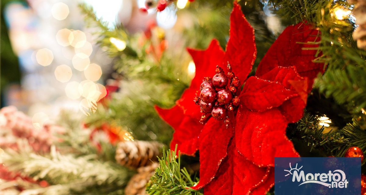 В навечерието на Коледа и Новата 2022 година когато ще