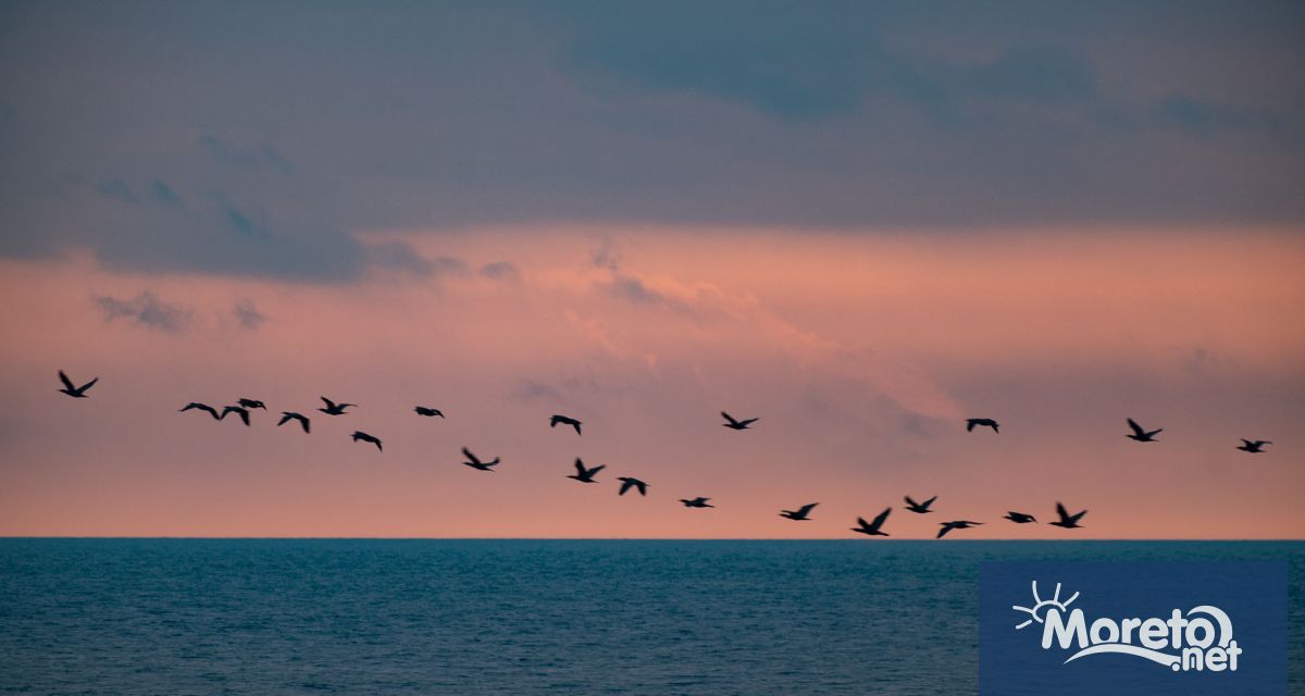 Тази нощ ще е предимно ясно Ще е почти тихо