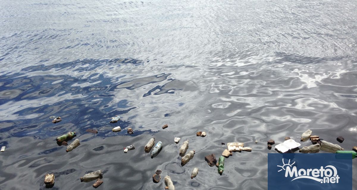 Количеството пластмасови отпадъци в световните океани се е увеличило безпрецедентно