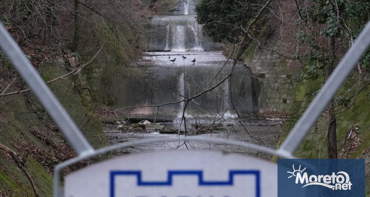 Общинското предприятие Дезинфекция дезинсекция дератизация Варна представи графика за