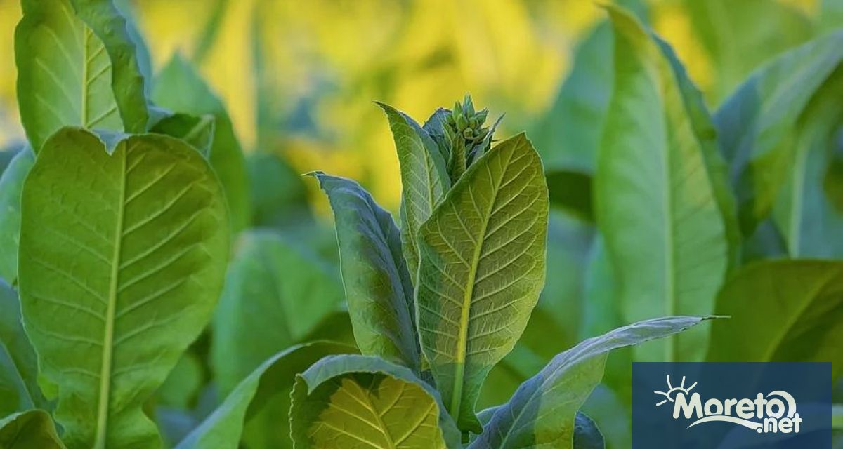 Със заповед на министъра на земеделието и храните Кирил Вътев