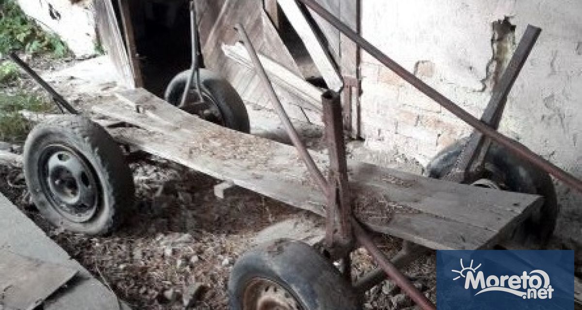 Териториалната дирекция на на търг с тайно наддаване Това показа