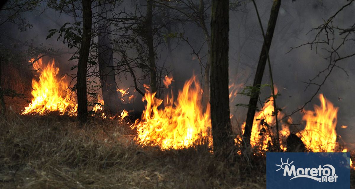 18 пожара са регистрирани на територията на областите Шумен Варна