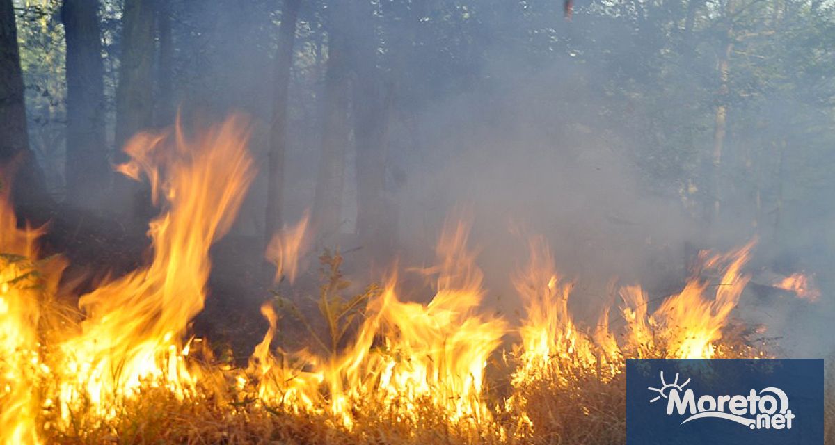 Министерството на земеделието и храните обяви прием на заявления за
