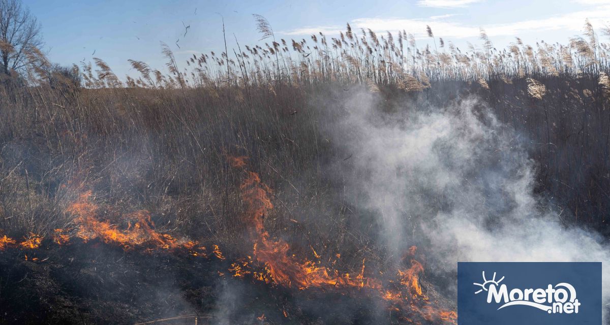 Пожар е изгорил 15 декара тръстика в защитена зона Дуранкулашко