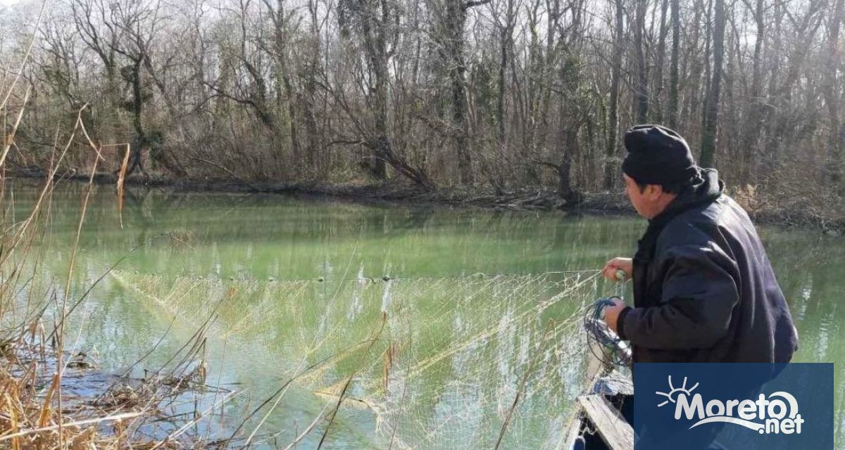 Инспектори на Рибарство и контрол във Варна са извършили проверка