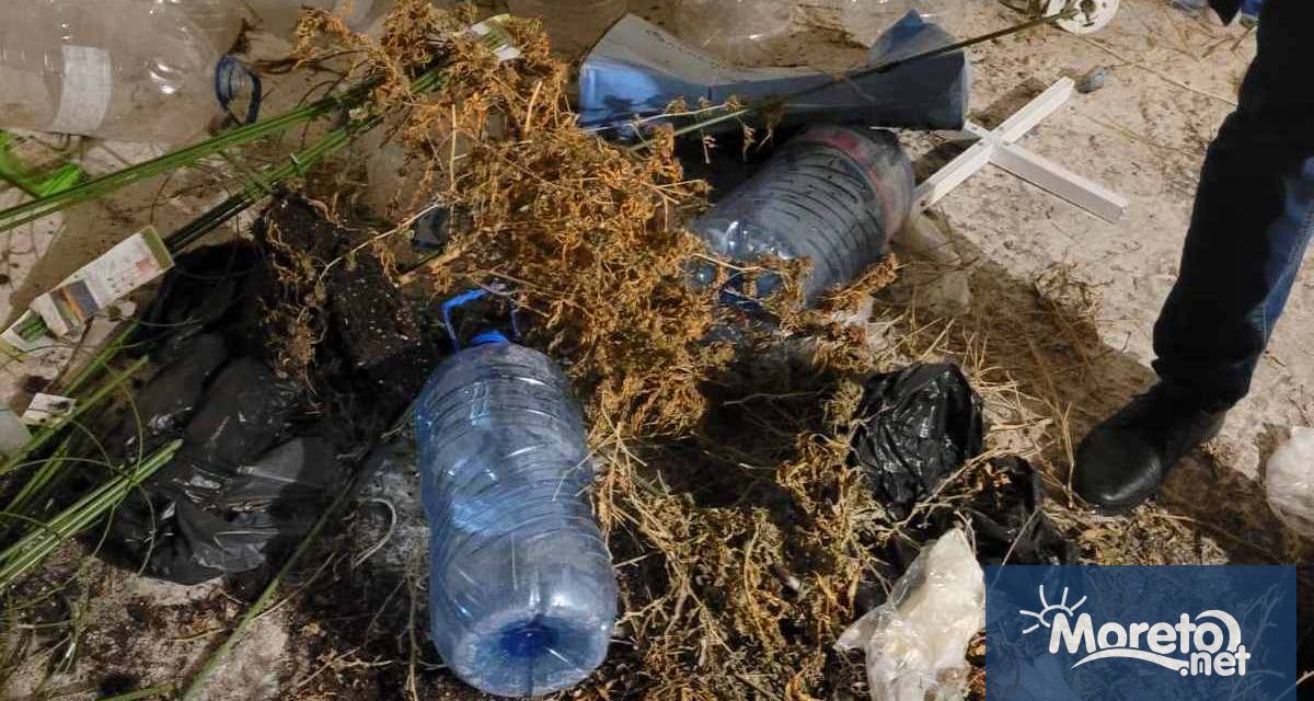 32 годишен варненски лекар е задържан при управление на МПС след