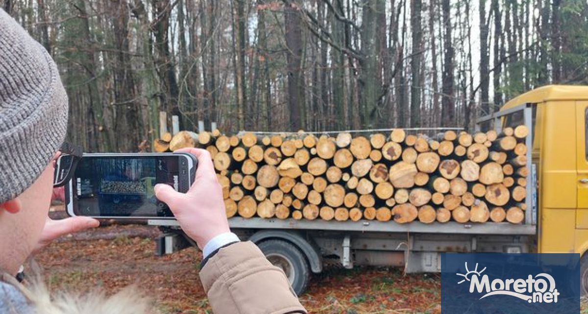 Продължават засилените проверки в горските територии на страната За периода