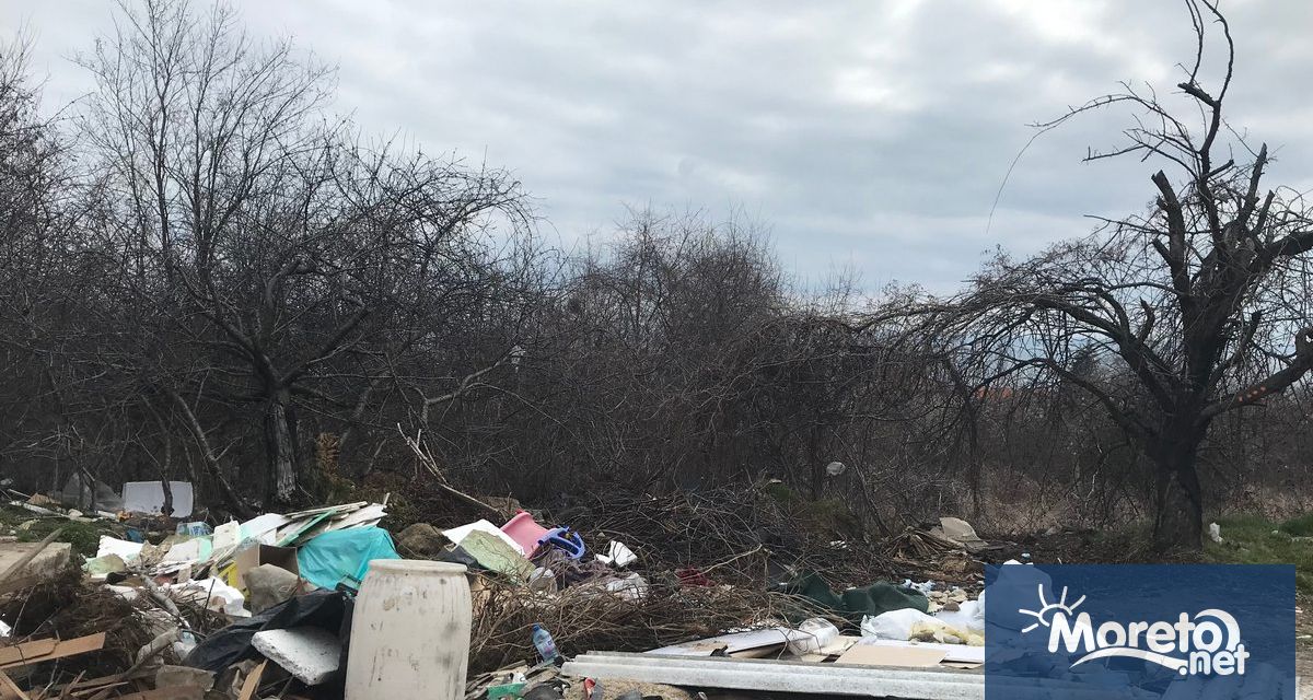 От днес четирима служители на предприятието обединяващо горските стопанства в